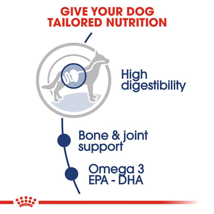 Royal Canin Maxi Adult Dog Wet Food - 140 g