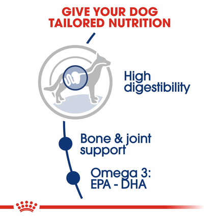Royal Canin Maxi 4 kg Dry Adult Dog Food