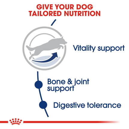 Royal Canin Maxi Adult 5+ Dry Dog Food