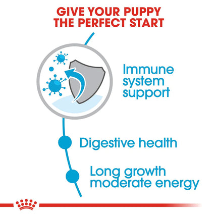 Royal Canin Maxi Breed Junior Dry Puppy Food