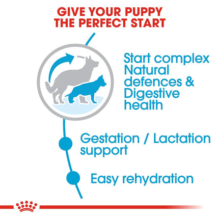 Royal Canin Maxi Breed Starter Puppy Food