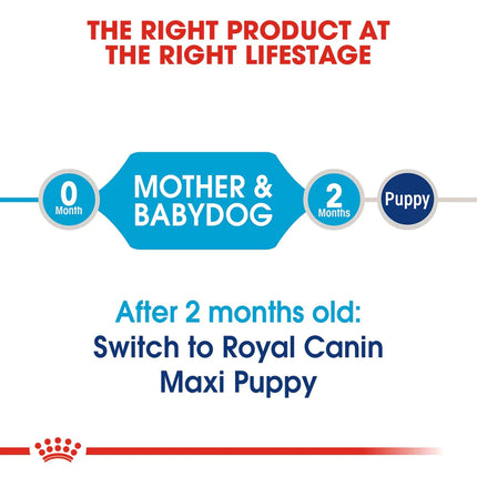 Royal Canin Maxi Breed Starter Puppy Food