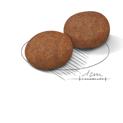 Royal Canin Medium Adult Dry Dog Food