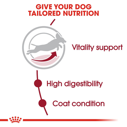 Royal Canin Medium Adult Dry Dog Food