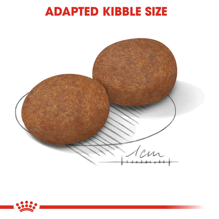 Royal Canin Medium Adult Dry Dog Food