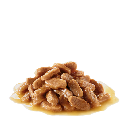 Royal Canin Medium Puppy Wet Dog Food