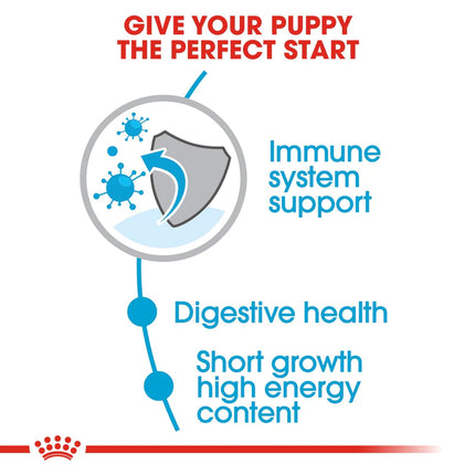 Royal Canin Medium Breed Junior Dry Puppy Food