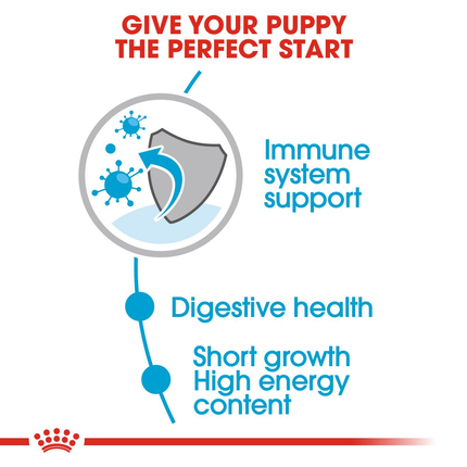 Royal Canin Medium Puppy Wet Dog Food