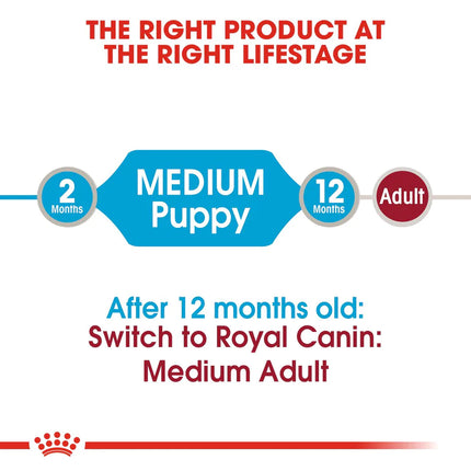 Royal Canin Puppy Medium Wet Puppy Food - 140 g