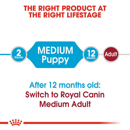 Royal Canin Medium Breed Junior Dry Puppy Food