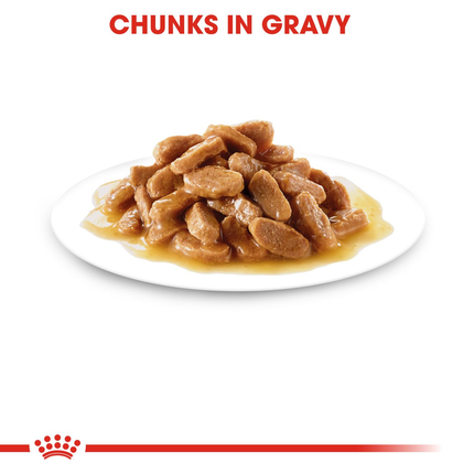 Royal Canin Medium Puppy Wet Dog Food