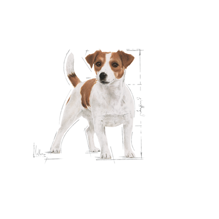 Royal Canin Mini Adult Wet Dog Food Pouch