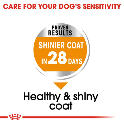 Royal Canin Mini Coat Care Dry Dog Food