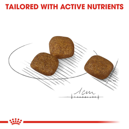 Royal Canin Mini Coat Care Dry Dog Food