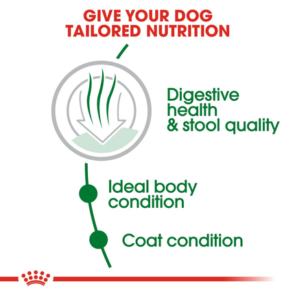 Royal Canin Mini Indoor Adult Dry Dog Food