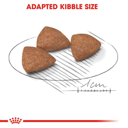 Royal Canin Mini Indoor Adult Dry Dog Food