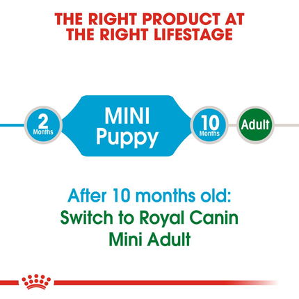 Royal Canin Mini Puppy Dry Dog Food