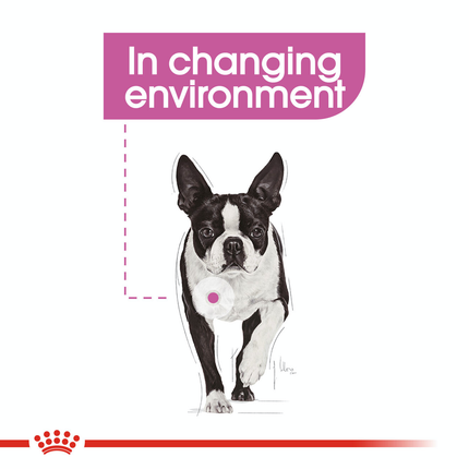 Royal Canin Mini Relax Care Adult Dry Dog Food