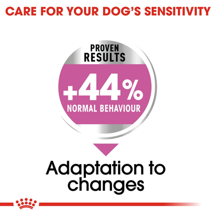 Royal Canin Mini Relax Care Adult Dry Dog Food