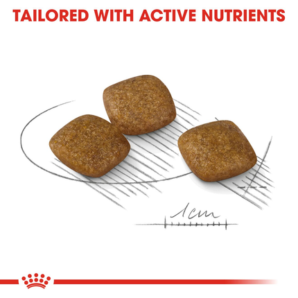 Royal Canin Mini Relax Care Adult Dry Dog Food