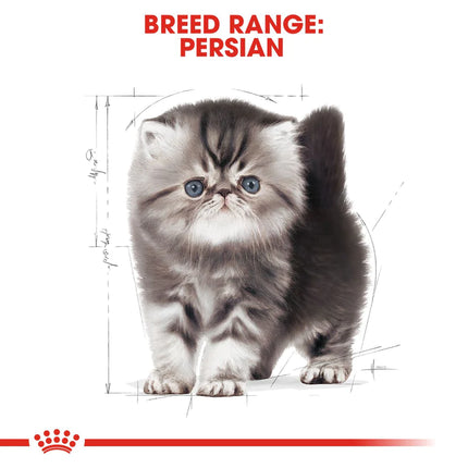 Royal Canin Persian Kitten Cat Dry Food