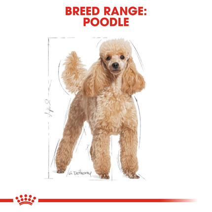 Royal Canin Poodle Adult Wet Dog Food