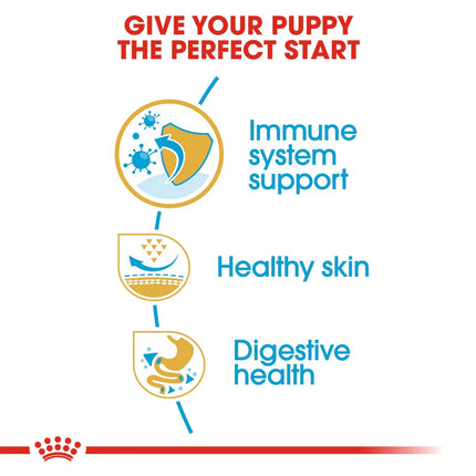 Royal Canin Pug Junior Food for Puppies