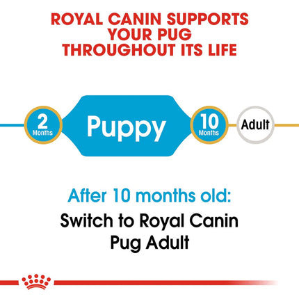 Royal Canin Pug Junior Food for Puppies