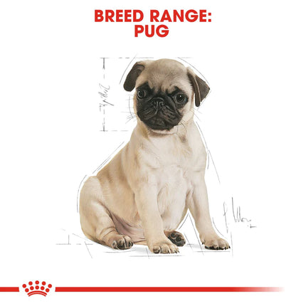 Royal Canin Pug Junior Food for Puppies