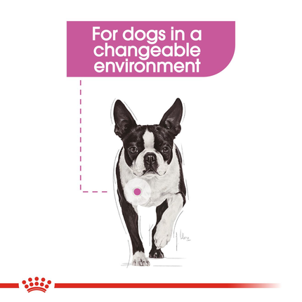 Royal Canin Relax Care Wet Dog Food
