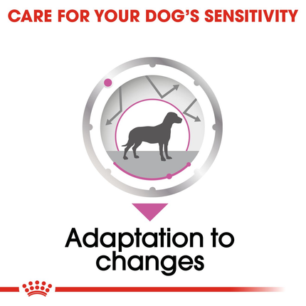 Royal Canin Relax Care Wet Dog Food
