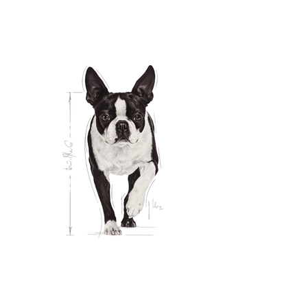 Royal Canin Relax Care Wet Dog Food
