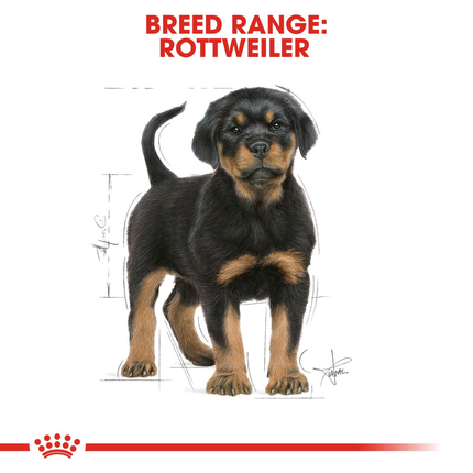 Royal Canin Rottweiler Puppy Dry Dog Food