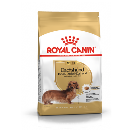 Royal Canin Dachshund Adult Dry Dog Food