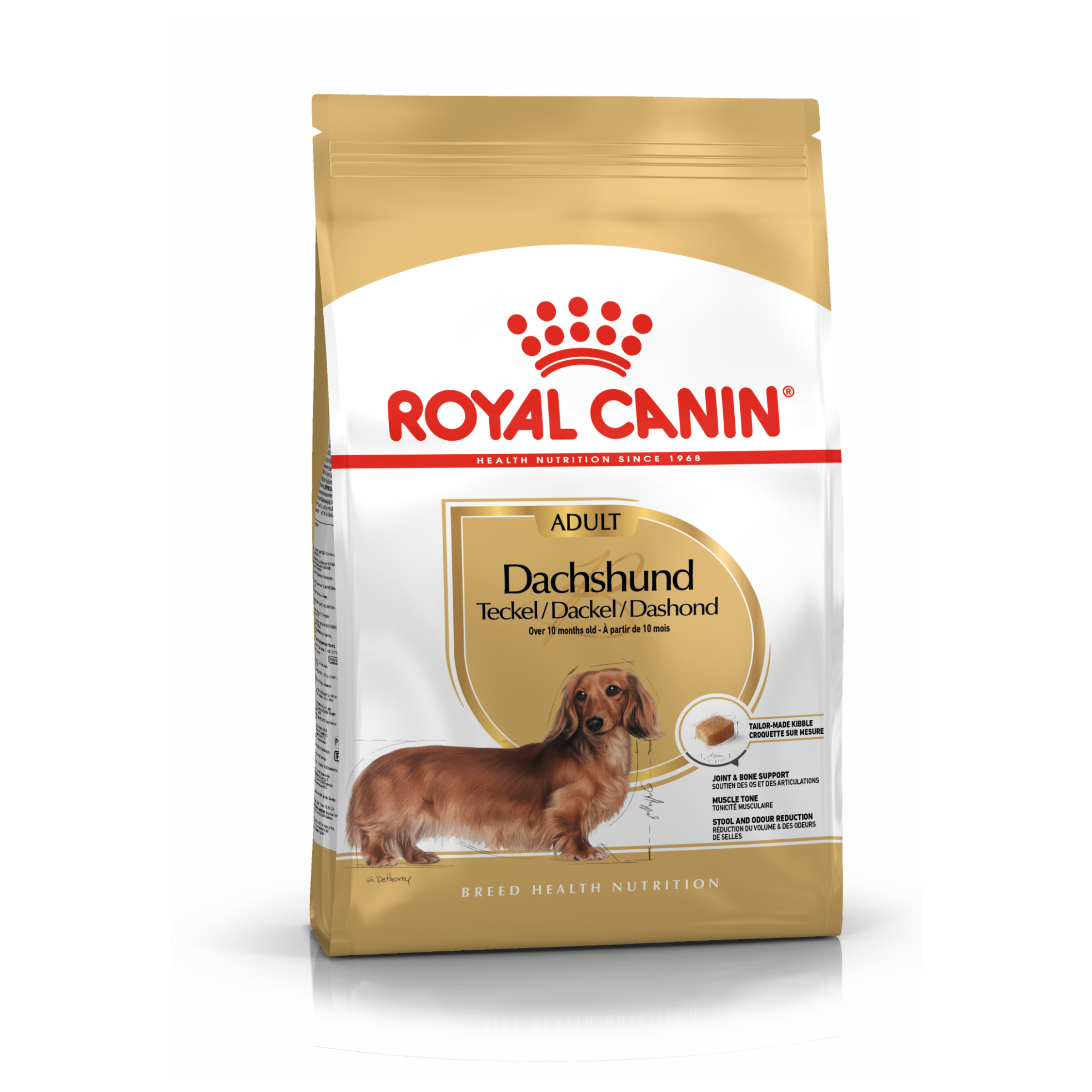 Royal Canin Dachshund Adult Dry Dog Food - Main Image