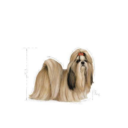 Royal Canin Shih Tzu Adult Dry Dog Food
