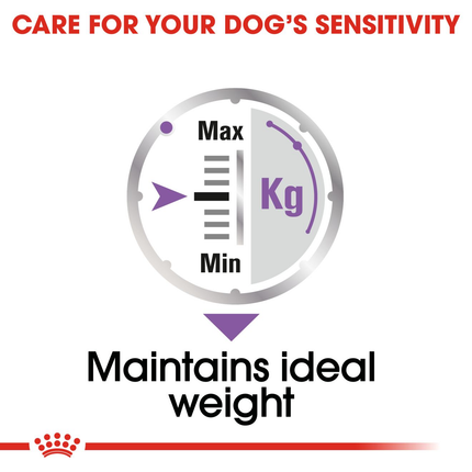 Royal Canin Sterilised Care Wet Dog Food