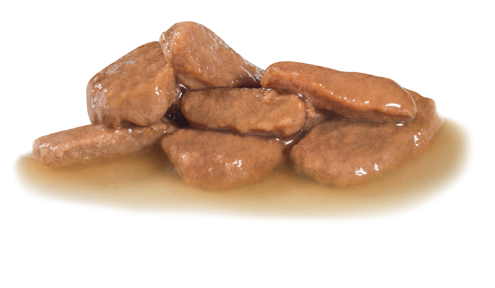 Royal canin junior wet food hotsell