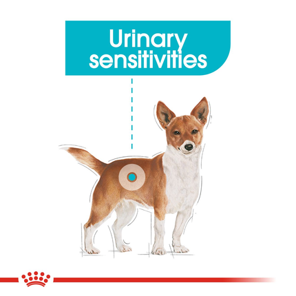 Royal Canin Urinary Care Wet Dog Food