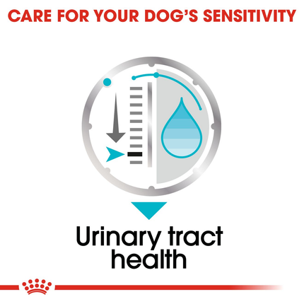 Royal Canin Urinary Care Wet Dog Food