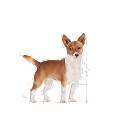 Royal Canin Urinary Care Wet Dog Food
