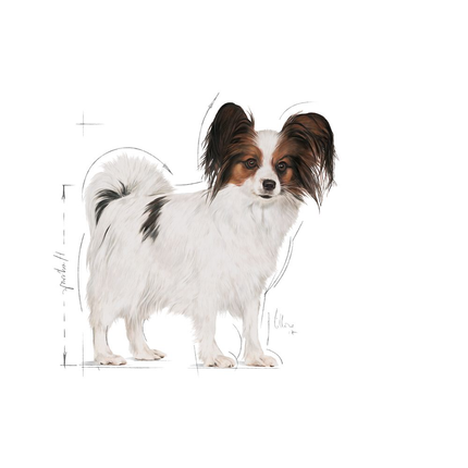 Royal Canin X-Small Adult Dry Dog Food