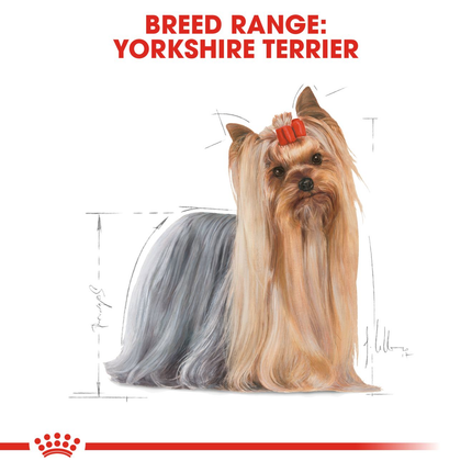 Royal Canin Yorkshire Terrier Adult Wet Dog Food