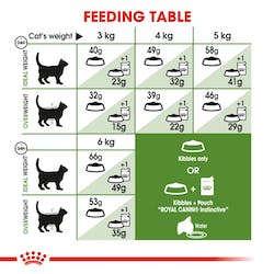 Royal Canin Outdoor Dry Cat food