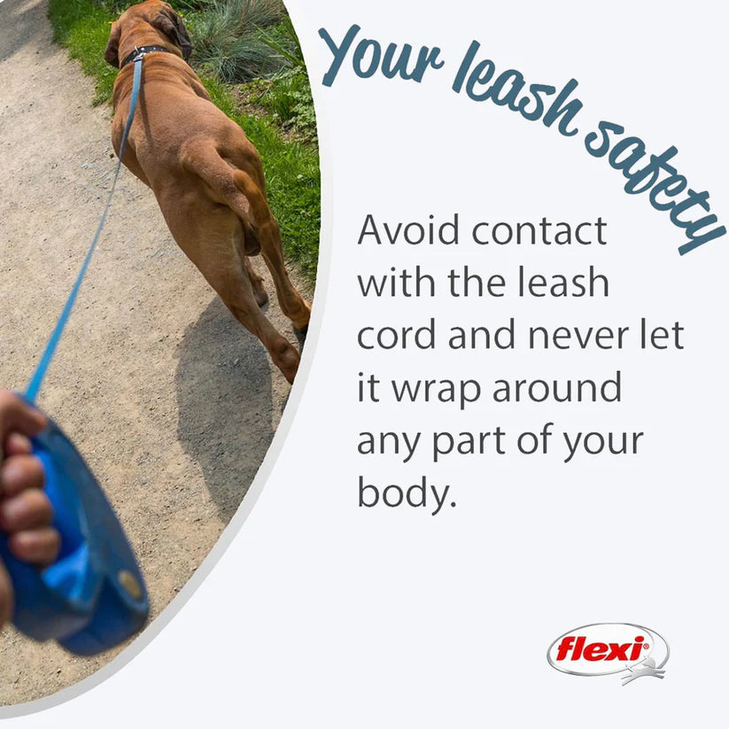 Flexi leash safety collar clearance