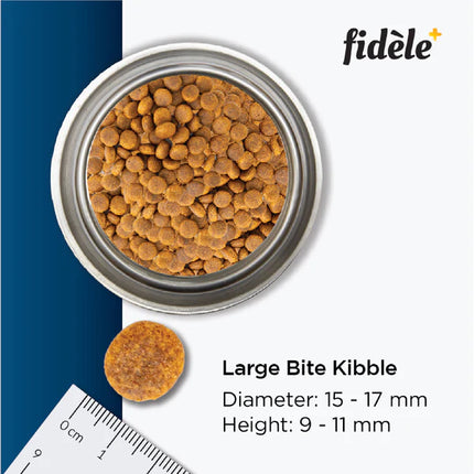 Fidele+ Dry Dog Food Adult Large