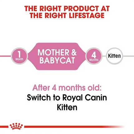 Royal Canin Mother and Babycat Dry Cat Food