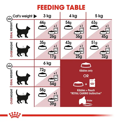 Royal Canin Nutrition Fit 32 Dry Cat Food