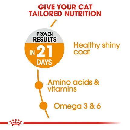 Royal Canin Nutrition Hair and Skin Dry Cat Food