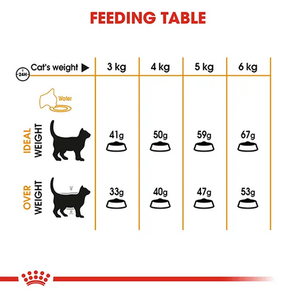 Royal Canin Nutrition Hair and Skin Dry Cat Food